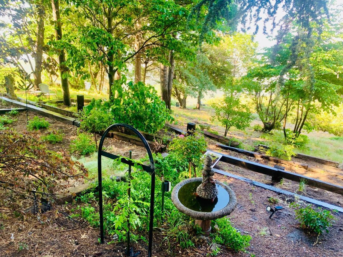 100 Mile View-Fire Pit, Romantic, Peaceful, Private Crestline Luaran gambar