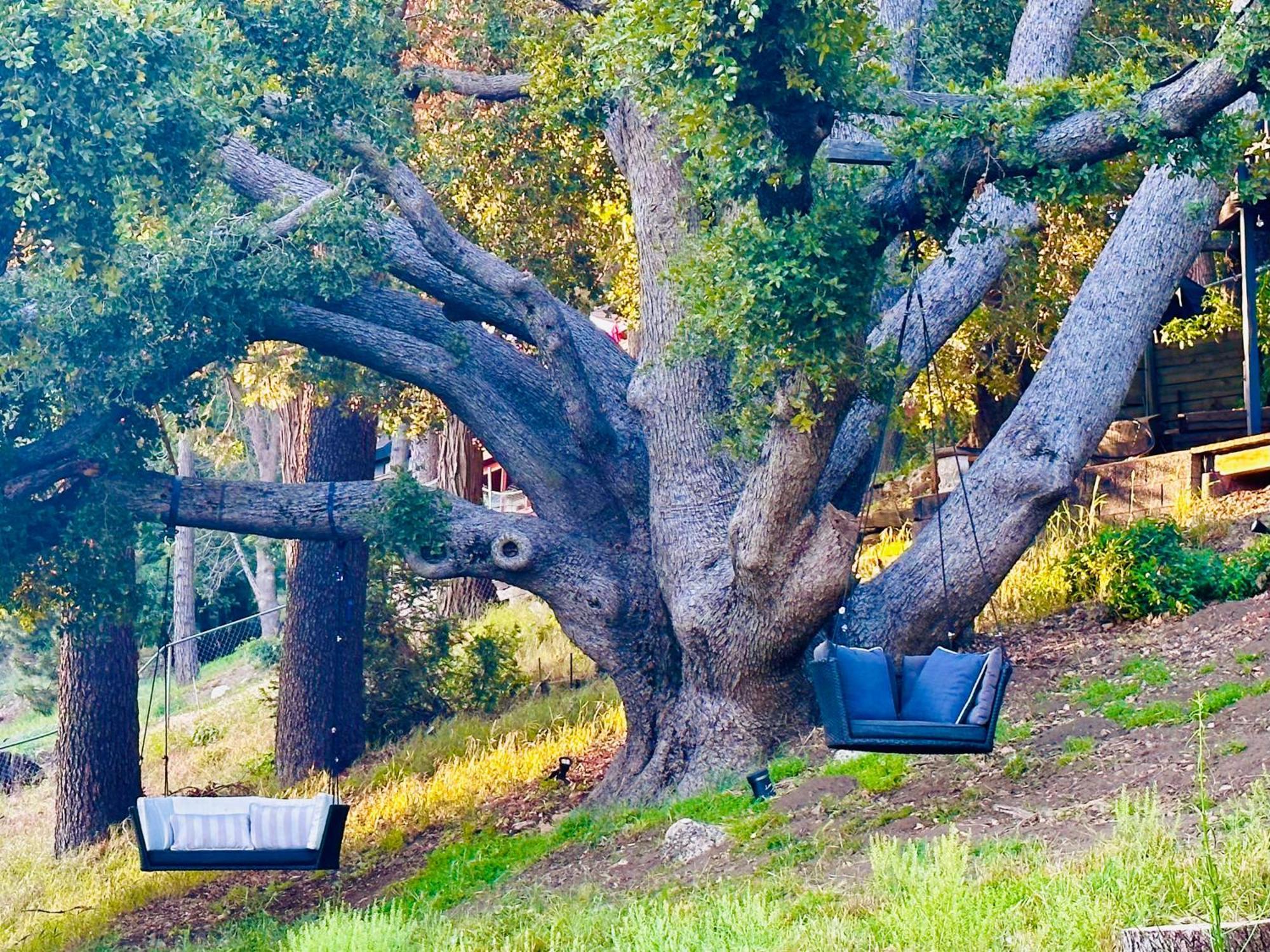 100 Mile View-Fire Pit, Romantic, Peaceful, Private Crestline Luaran gambar