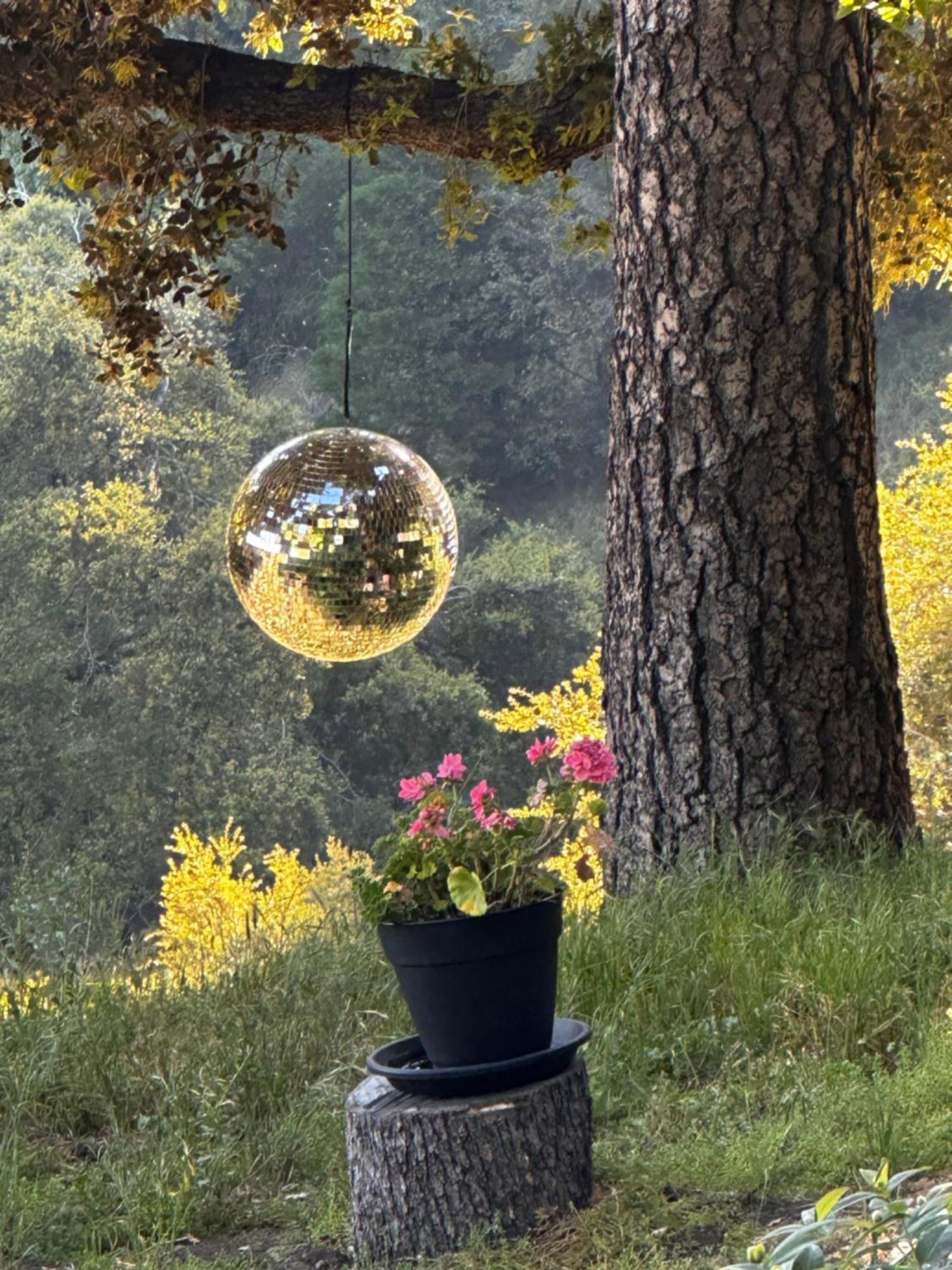 100 Mile View-Fire Pit, Romantic, Peaceful, Private Crestline Luaran gambar