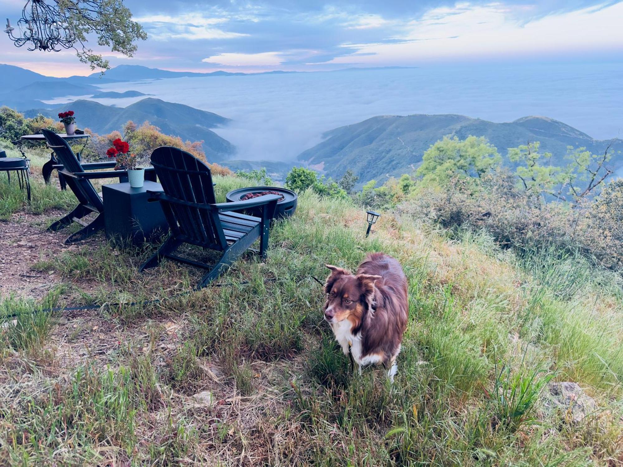100 Mile View-Fire Pit, Romantic, Peaceful, Private Crestline Luaran gambar